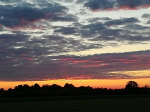 2019_06_16 Im Kühmoos bei Gernlinden