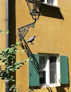 2019_08_18 Augsburg: Fuggerei