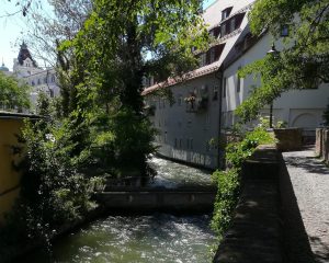 2019_08_18 Augsburg: Zirbelnuss-Kanalbrücke (wasserführend)