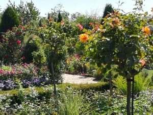 2019_08_22 Hadamar: Rosengarten