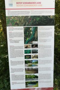 2019_09_15 Brixen (I), Biotop Schrambacher Lacke