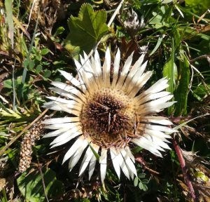 2019_09_21 Am Wendelstein