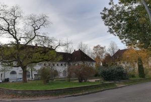 2019_11_08 Hamburg-Steenkampsiedlung: Park Vogelweide (ehem. Löschwasserteich)