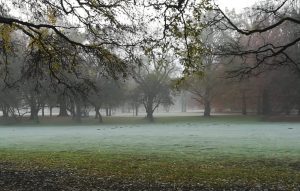 2019_11_17 Hamburg Stadtpark