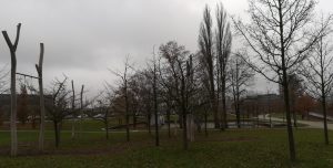 2019_12_03 Hamburg Hafencity: Lohsepark