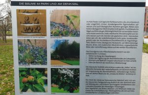 2019_12_03 Hamburg Hafencity: Lohsepark