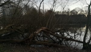 2019_12_30 Hamburg-Wandsbek, Eichtalpark