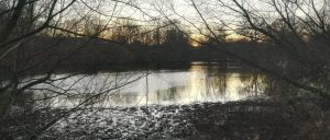 2019_12_30 Hamburg-Wandsbek, Eichtalpark