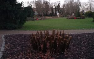 2019_12_30 Hamburg-Wandsbek, Botanischer Sondergarten