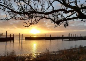 2019_12_31 Hamburg: Elbe vor Blankenese