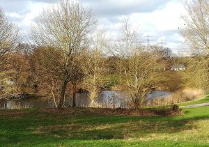 2020_02_28 HH-Mümmelmannsberg, Glinder Au / Steinfurths Diek