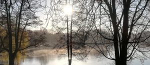 2020_03_14 HH Stadtpark, (2) Stadtparksee, oder Yellowstone?