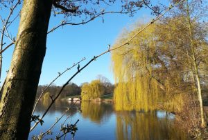 2020_03_14 HH Stadtpark, (3) Stadtparksee, Westufer