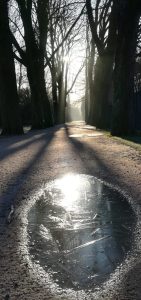 2020_03_14 HH Stadtpark (4)