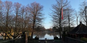 2020_03_14 HH Stadtpark, (5) Liebes-/Toteninsel (Böcklin)