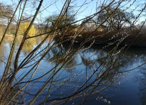 2020_03_14 HH Stadtpark, (6) Stadtparksee