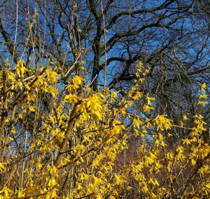 2020_03_14 HH Stadtpark (7)