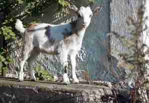 1976_08 Södergard (SE)