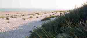 1976_08_08ca Sandhammaren (SE)