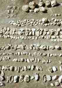 1976_08_20 Funde aus Ivö (SE) - Kaolingrube