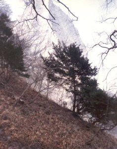 1984_04 Ostern Rügen