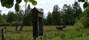 2020_05_30 Fußbergmoos: Vogel-Reihenhäuschen.jpg