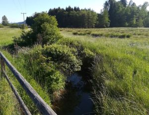 2020_06_01 Mühlgraben vor Mündung in die Rott
