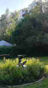 2020_06_15 Wandsbek-Eichtalpark, "Die Schöne"