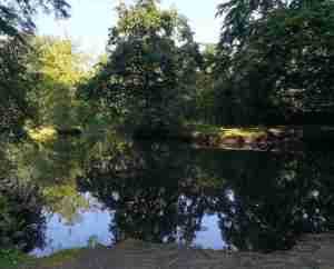 2020_06_15 Wandsbek-Eichtalpark mit Wandse