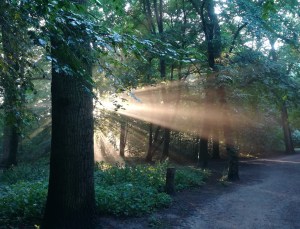 2020_06_25 Hamburg: im Stadtpark