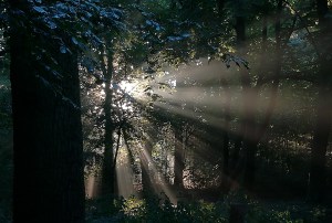 2020_06_25 Hamburg: im Stadtpark