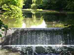 2020_07_13 Hamburg: Holzmühlenteich