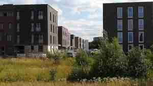 2020_07_13 Hamburg: Jenfelder Au