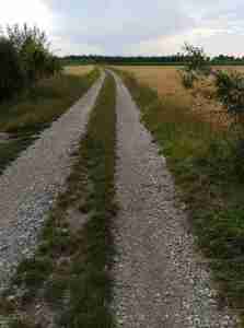 2020_07_23 164646a Gernlinden, fragliche Römerstraße (Blickrichtung W)