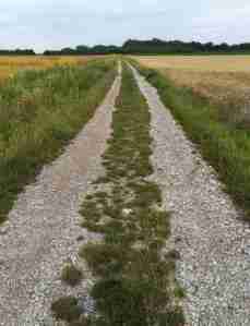 2020_07_23 Gernlinden, fragliche Römerstraße (Blickrichtung O)