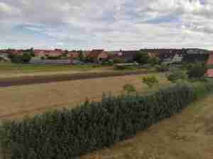 2020_07_26 Bamberg-Gärtnerstadt, Blick von Aussichtsplattform