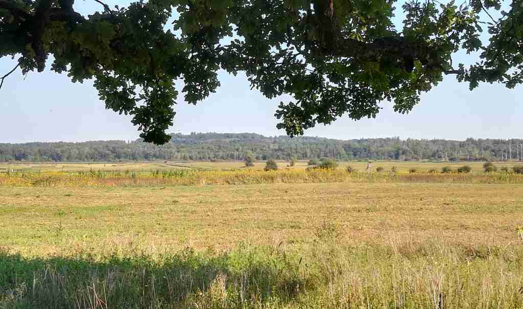 2020_09_15 Ampermoos bei Kottgeisering