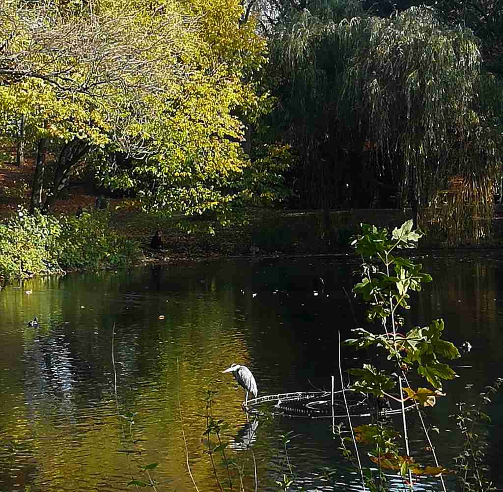 2020_11_07 HH-Hamm: Hammer Park