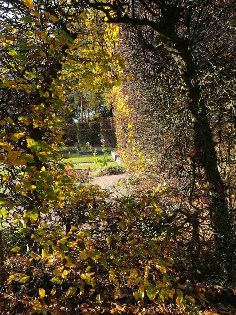 2020_11_07 114400 HH-Hamm: Hammer Park