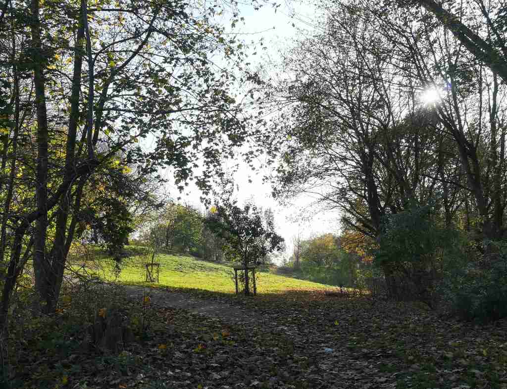 2020_11_07 HH-Hamm: Aschberg