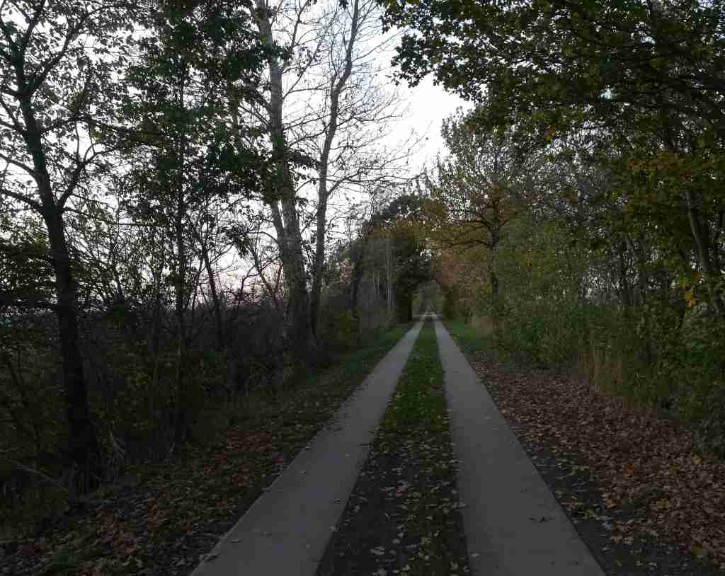 2020_11_07 HH-Kirchwerder: Kirchwerder Wiesen