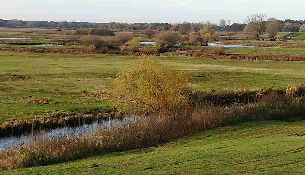 2020_11_15 Seege-Niederung