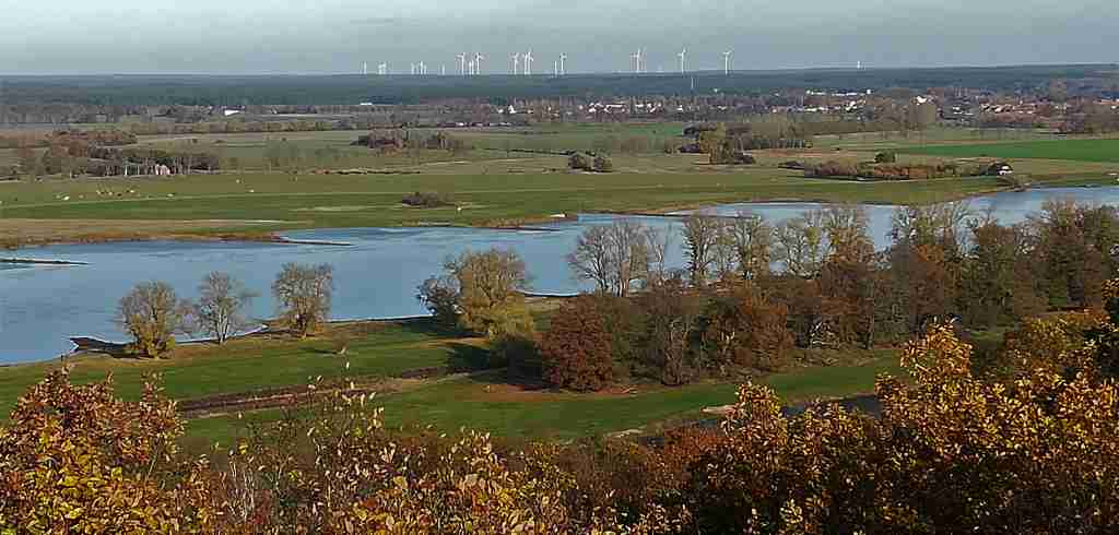 2020_11_15 Elbe unter dem Höhbeck