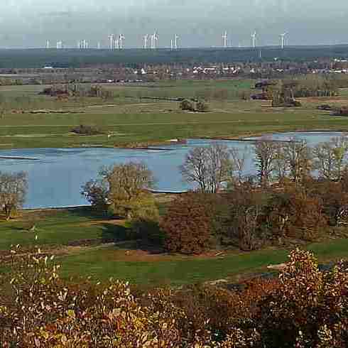 2020_11_15 Elbe unter dem Höhbeck