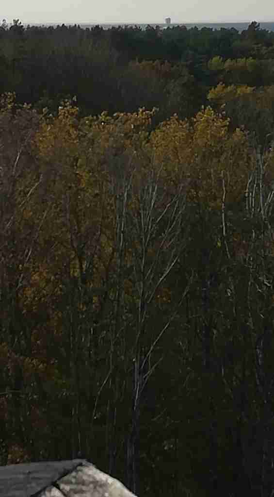 2020_11_15 Vom Höhbeck zum Förderturm Schacht 1, Gorleben