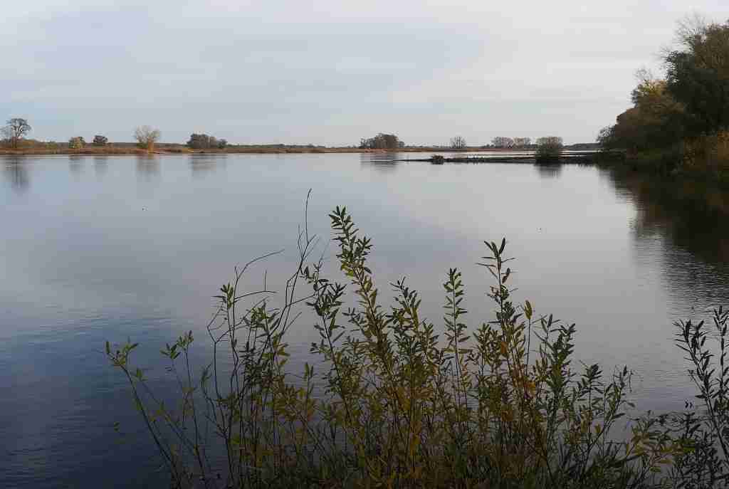 2020_11_15 Am Fußpunkt der Fähre nach Lenzen