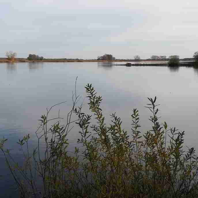 2020_11_15 Am Fußpunkt der Fähre nach Lenzen