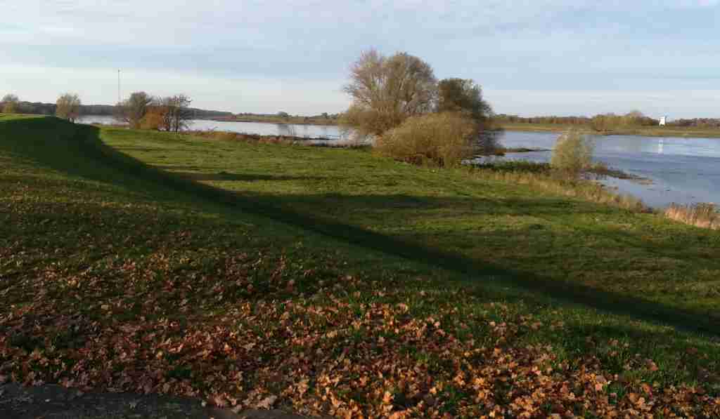 2020_11_15 Elbabwärts Richtung Höhbeck