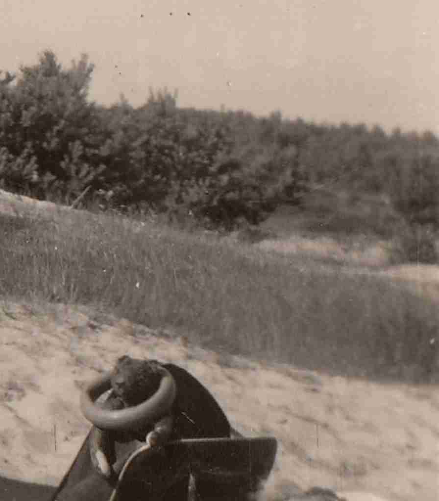 1951 Sommer - Osenberge 02 detail