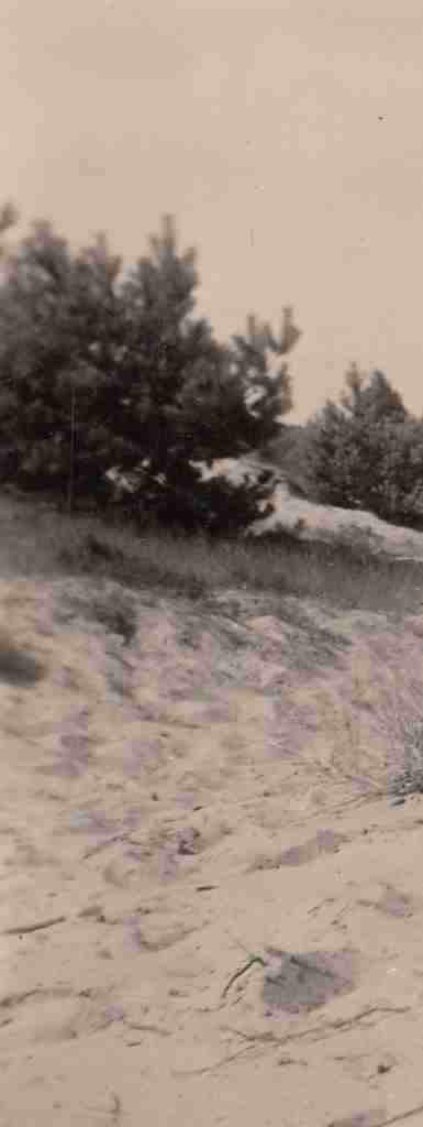 1951 Sommer - Osenberge 03 detail2